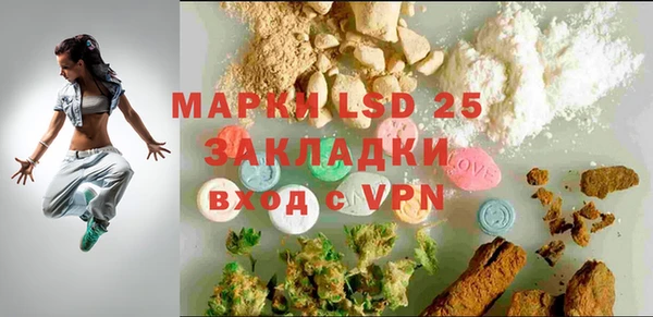 индика Покачи