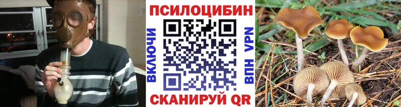 Псилоцибиновые грибы мухоморы  OMG как войти  Грязи  магазин продажи  